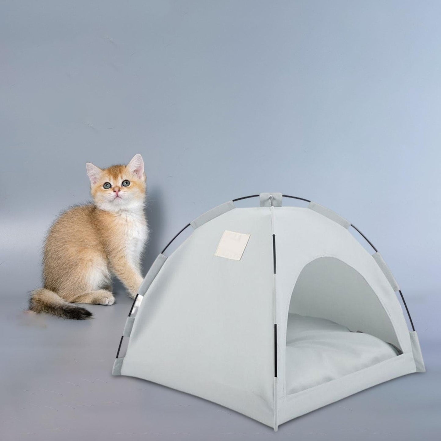 Tente Chat - CatTentBedâą Gris Cyan trĂšs mignon