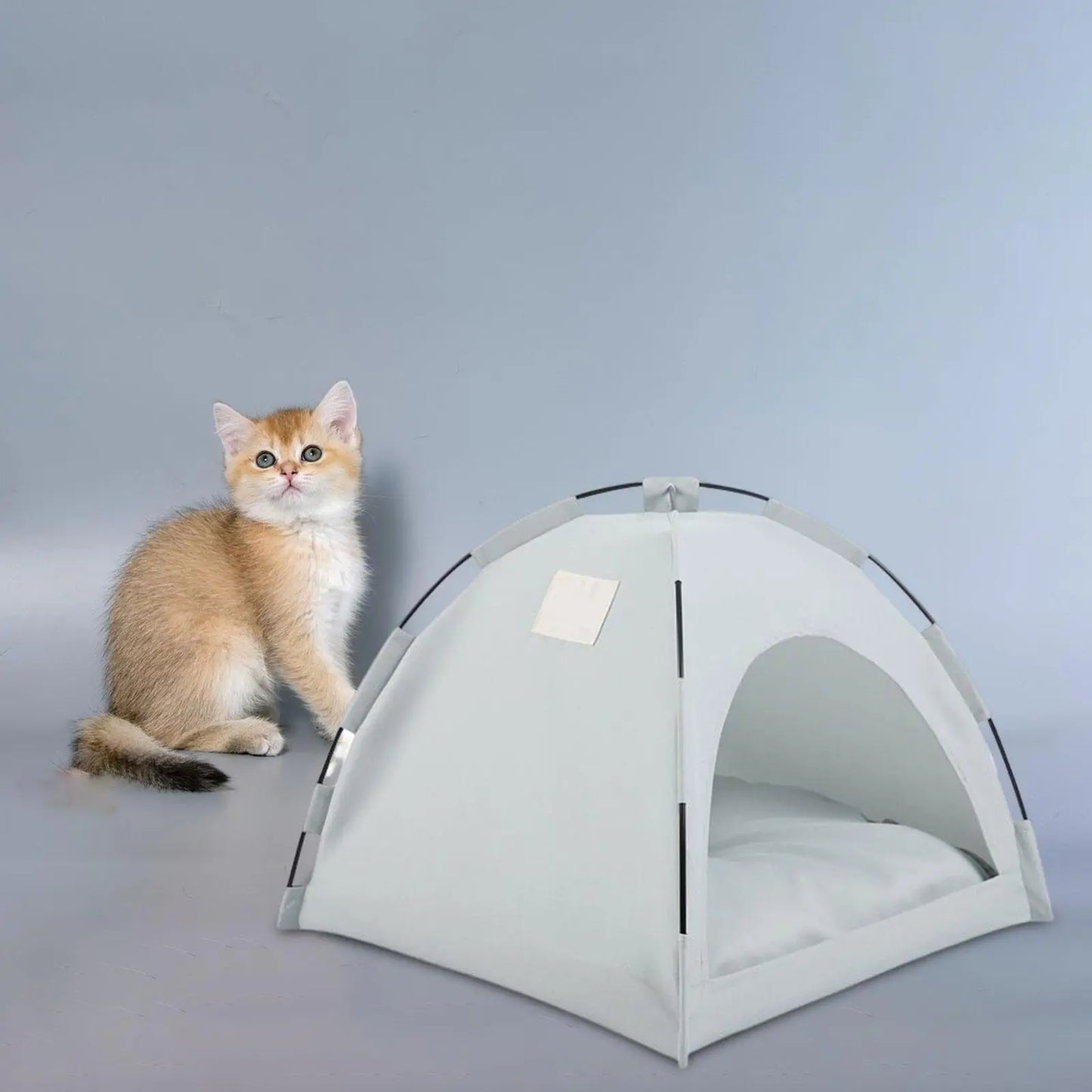 Tente Chat - CatTentBedâą  Gris Cyan trĂšs mignon