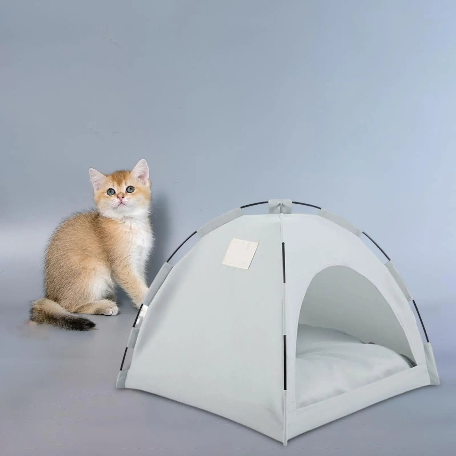 Tente Chat - CatTentBedâą  Gris Cyan trĂšs mignon
