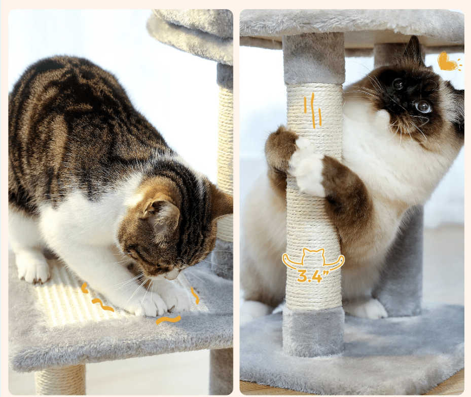 Arbre Ă  chat maine coon - gris - jeux - panier - Boutique Chat l'Heureux