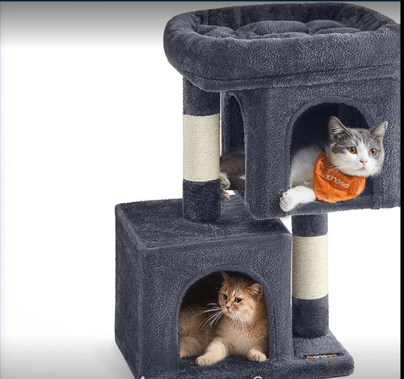 Arbre à chat maine coon - condo - large - perchoir - gris - Boutique Chat l'Heureux