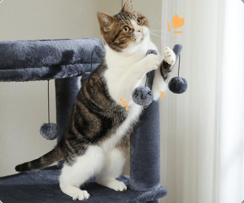 Arbre à chat maine coon - plusieurs niveaux - gris - Boutique Chat l'Heureux