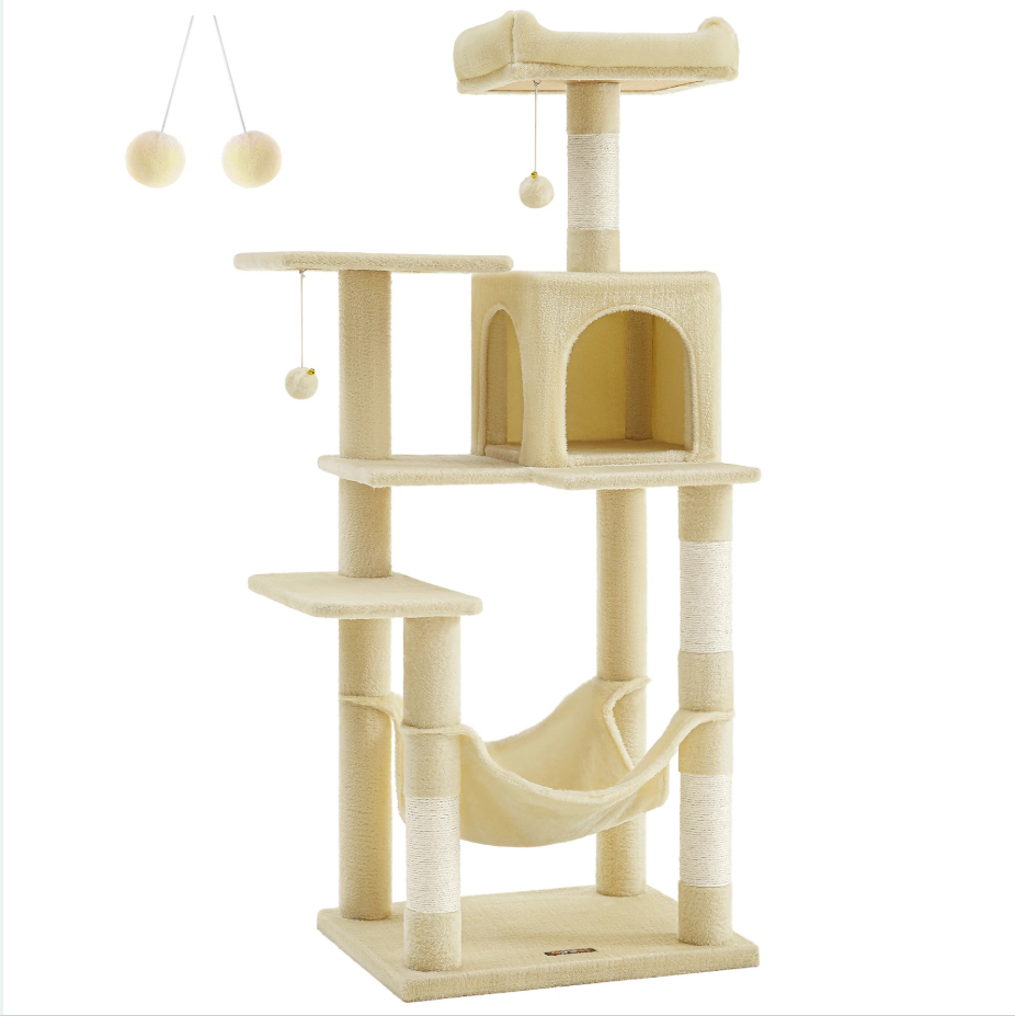 Arbre maine coon beige pour sa santé physique et mentale