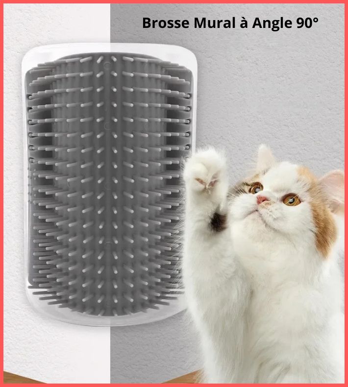 Brosse mural 90° pour coin de mur
