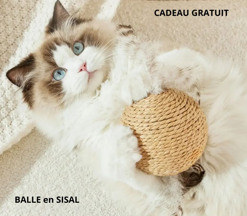 Cadeau Gratuit Balle en Sisal