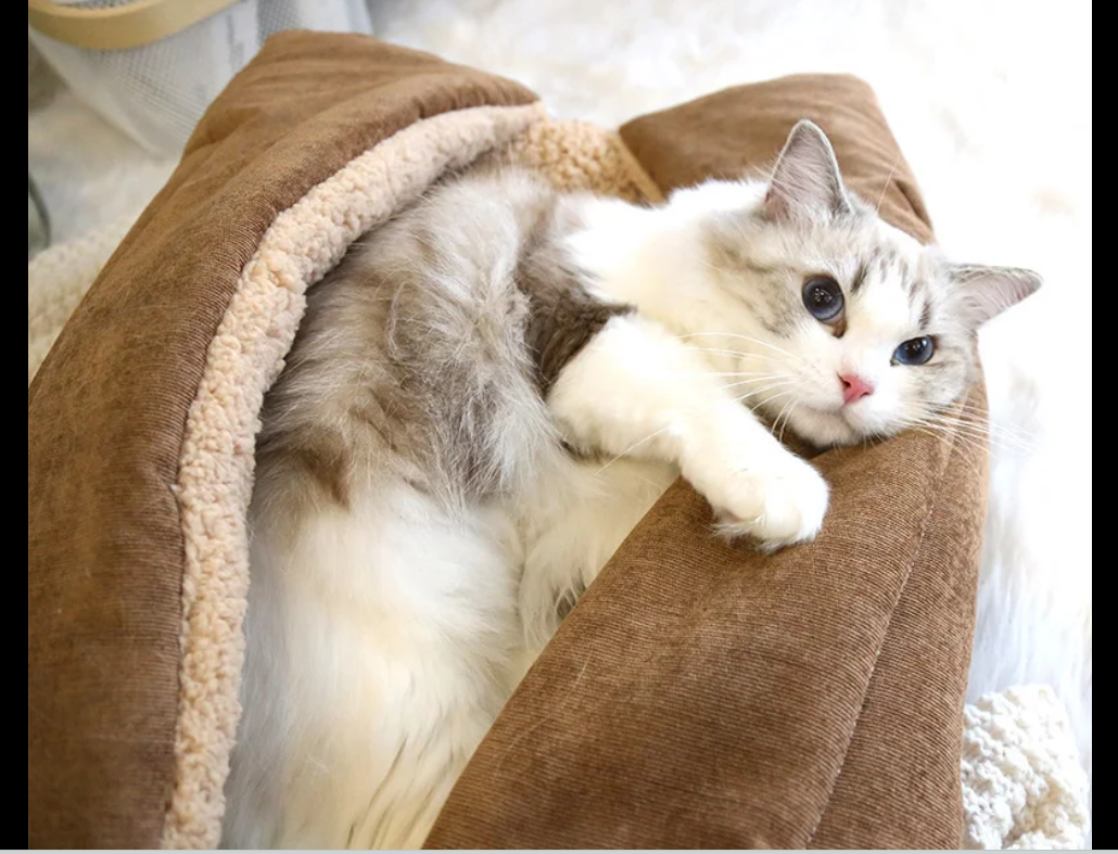 Coussin chat multifonctionnel brun-café enveloppant