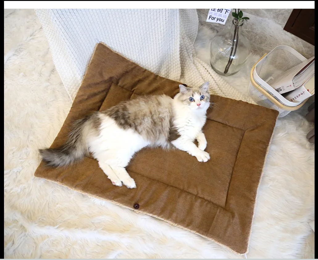 Coussin chat multifonctionnel coté brun-café ouvert