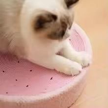 Griffoir pour chat avec gratte - roche rond nécessaire