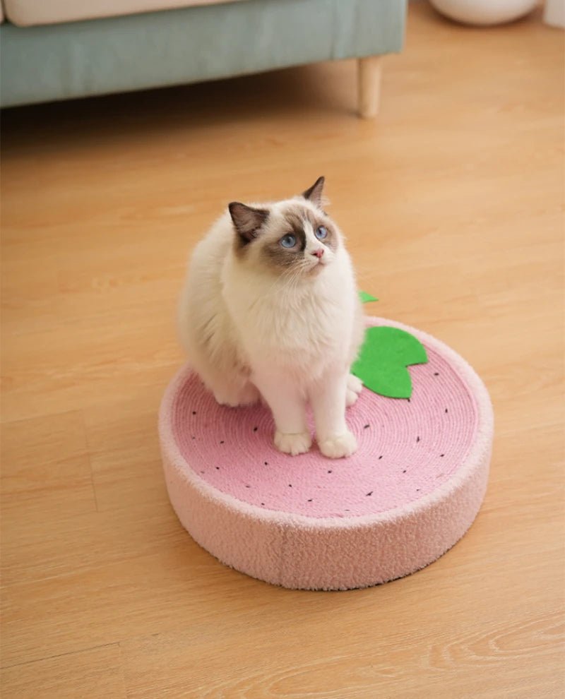 Griffoir pour chat - gratte - roche rond - rose - Boutique Chat l'Heureux
