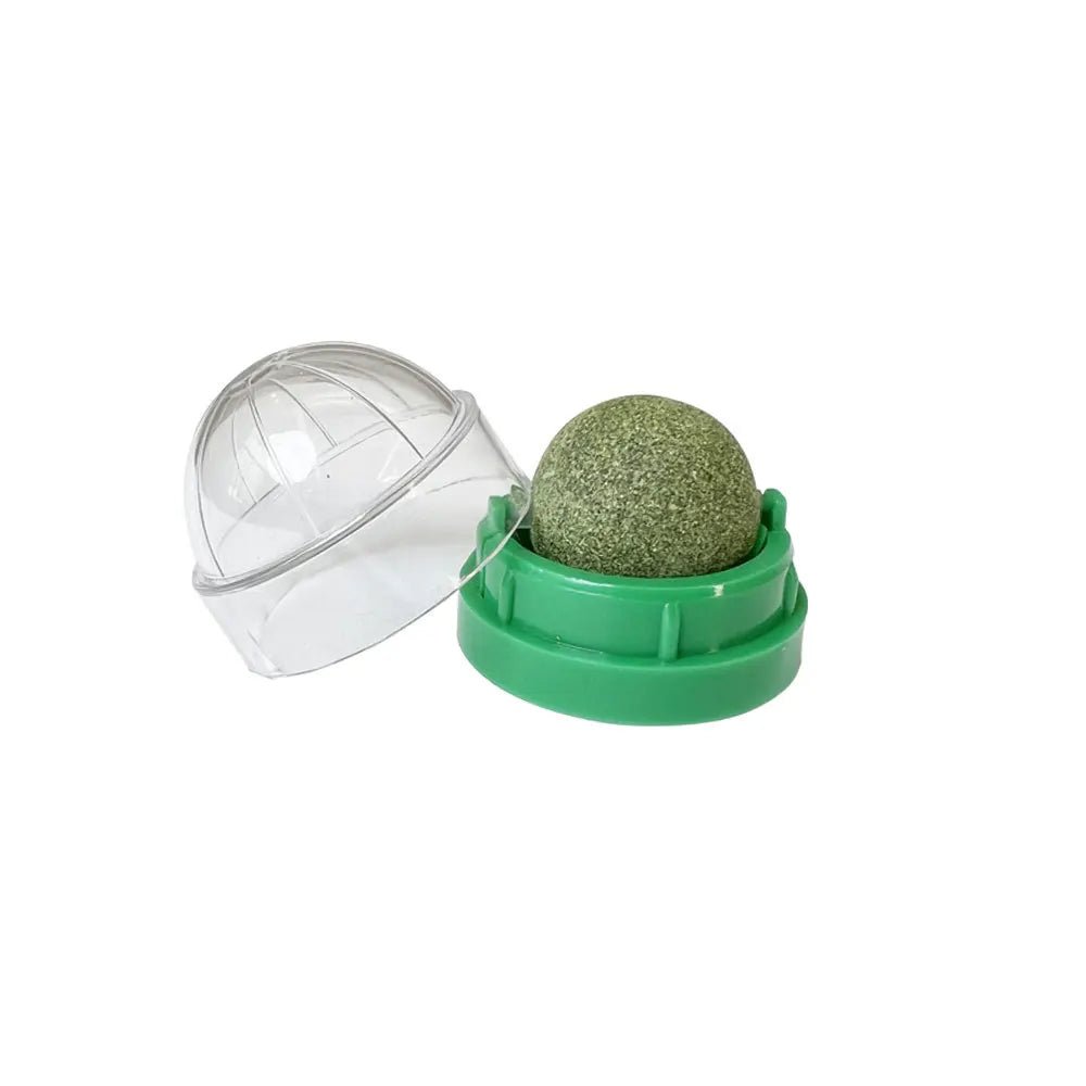 Griffoir pour chat boule à collation hygiène