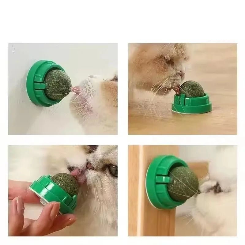 Griffoir pour chat boule gratter installation au mur ou au plancher