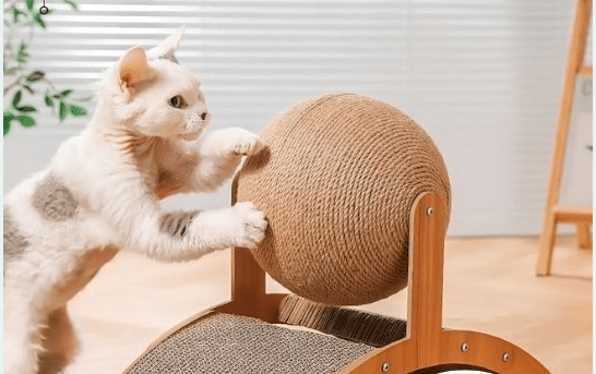 Griffoir a Chat - boule - planche - Boutique Chat l'Heureux