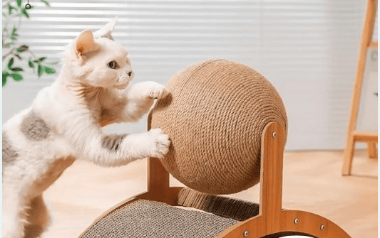 Griffoir a Chat - boule - planche - Boutique Chat l'Heureux