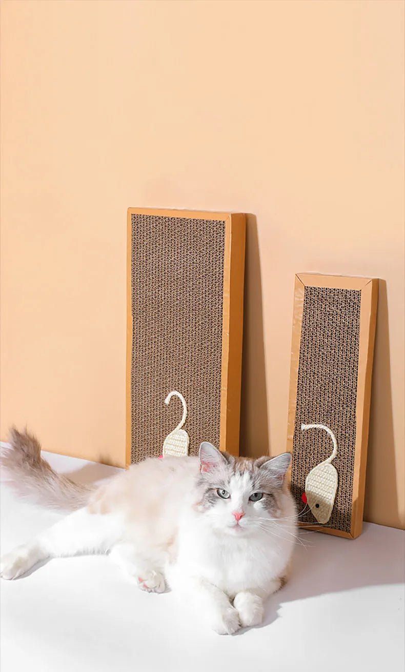 Griffoir pour chat deux grandeurs