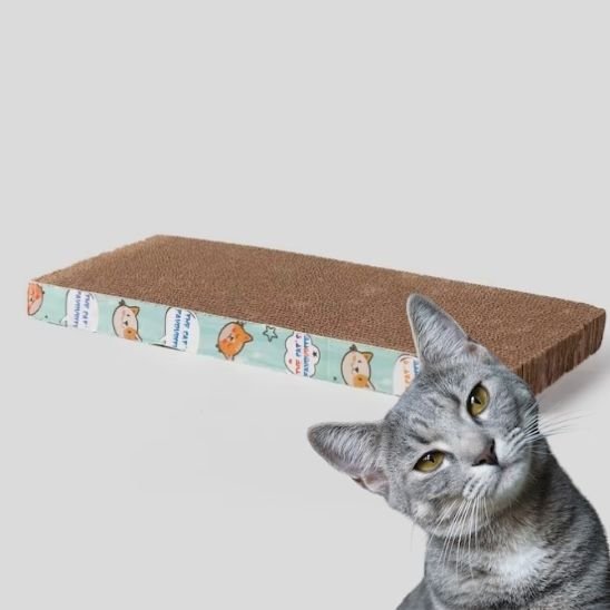 Griffoir pour chat - planche a gratter - Boutique Chat l'Heureux