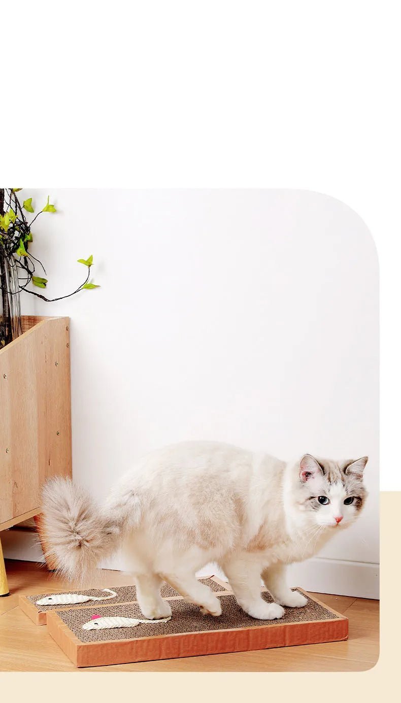 Griffoir pour chat planche pour instinct