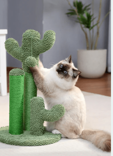 Griffoir pour chat - trois poteaux - Boutique Chat l'Heureux