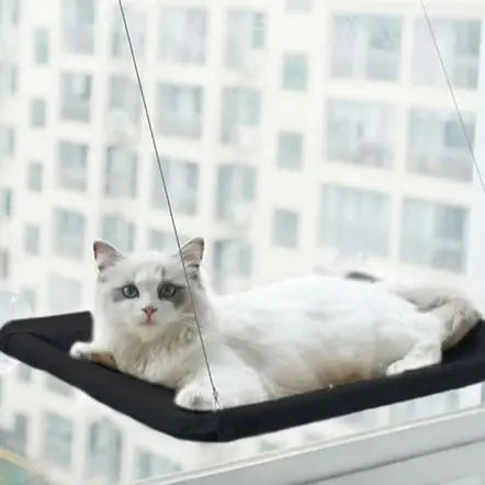 Hamac pour chat dans fenĂȘtre avec ventouse et corde dĂ©tente