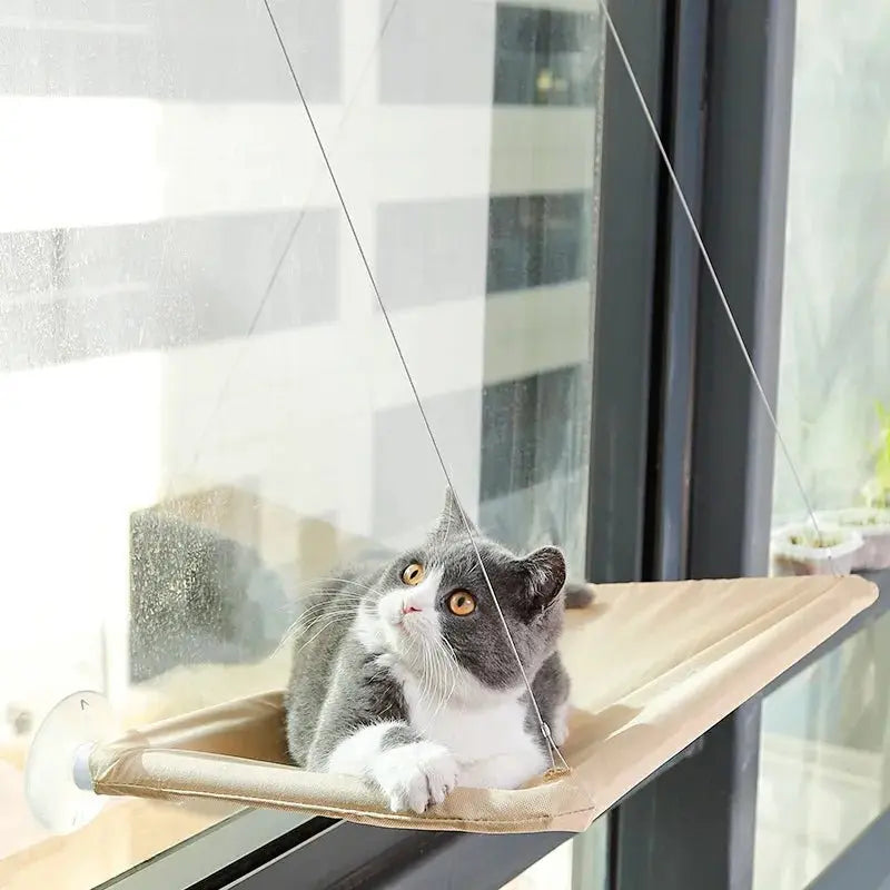 Hamac pour chat dans fenĂȘtre avec ventouse et corde douceur