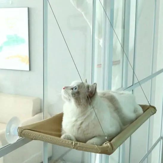 Hamac pour chat dans fenĂȘtre avec ventouse et corde pour surveillance