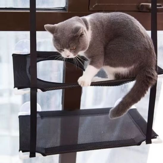 Hamac pour chat fenĂȘtre avec ventouse sĂ©curitaire