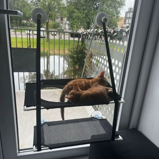 Hamac pour chat fenêtre avec ventouses