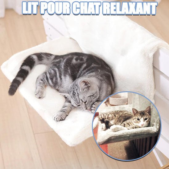 Hamac pour chat radiateur luxueux pour chat zen
