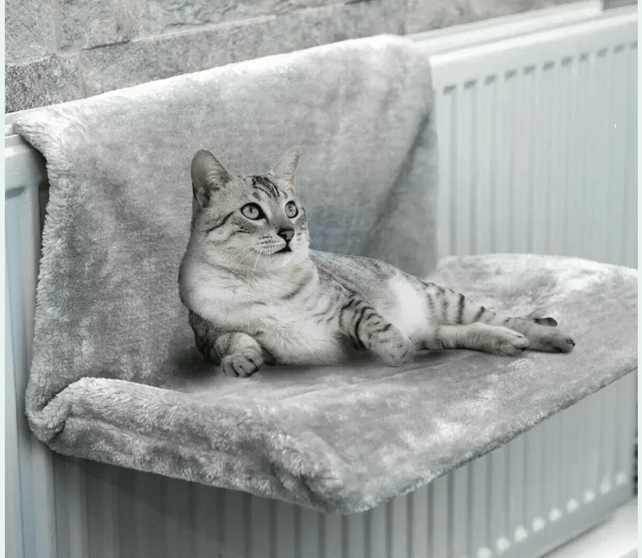 Hamac pour chat - radiateur - luxueux - Boutique Chat l'Heureux