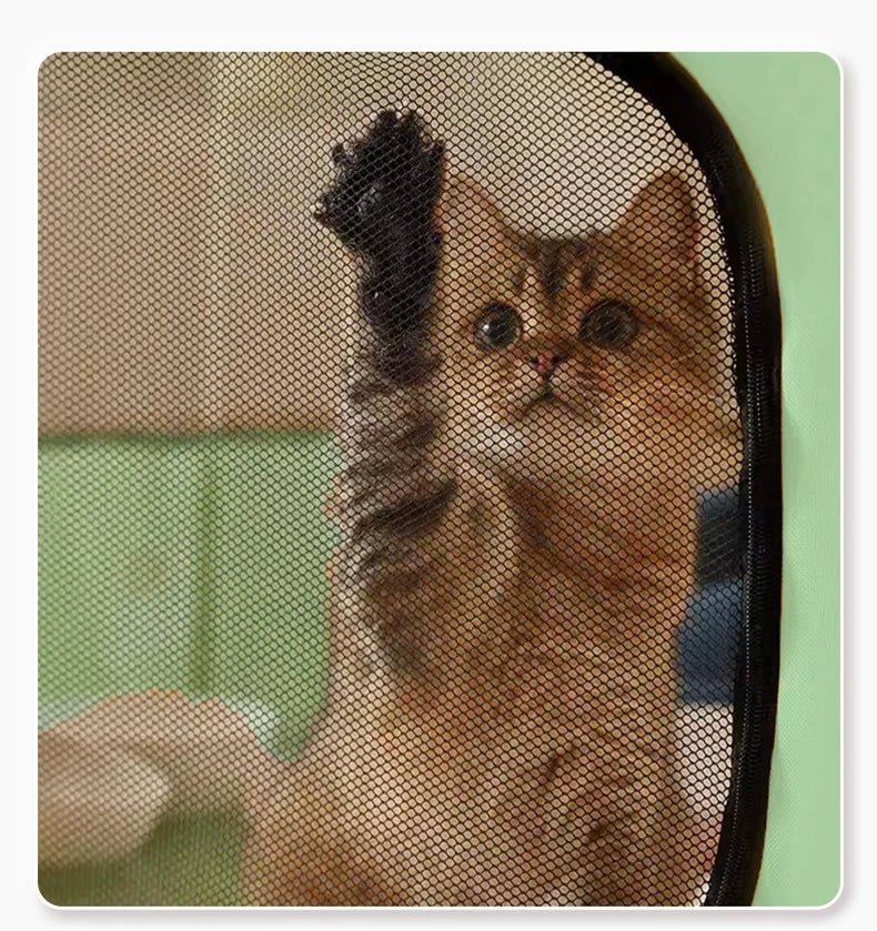 Maison pour chat salle de jeu verte avec aération