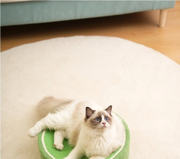 griffoir Ă  chat gratte roche grenouille vert