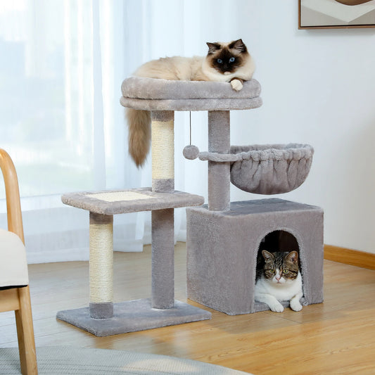 Arbre à chat maine coon - gris - jeux - panier - Boutique Chat l'Heureux