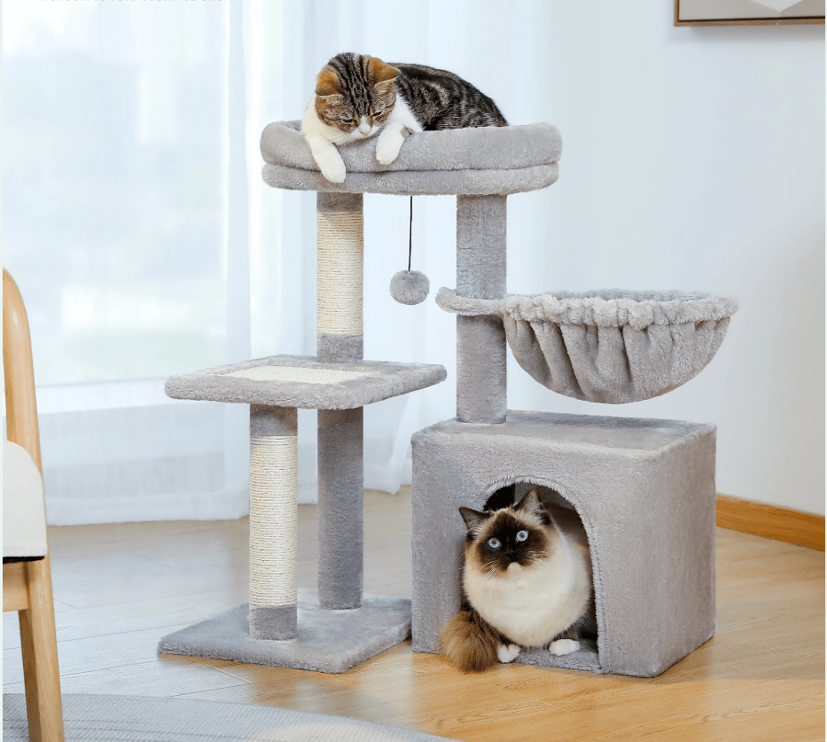 Arbre à chat maine coon - gris - jeux - panier - Boutique Chat l'Heureux