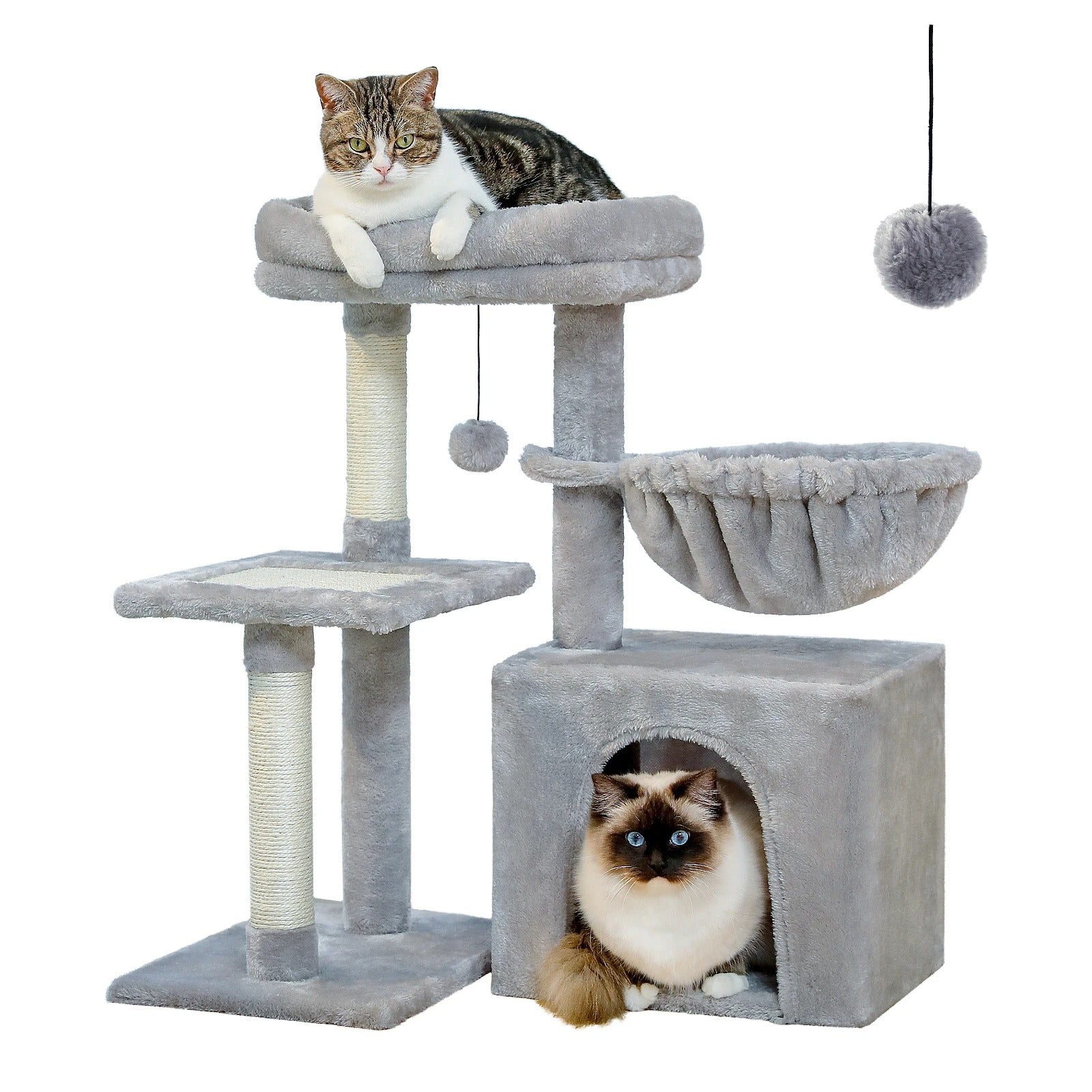 Arbre à chat maine coon - gris - jeux - panier - Boutique Chat l'Heureux