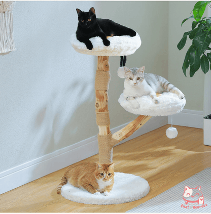 Arbre a chat fleuri naturel style marguerite en famille