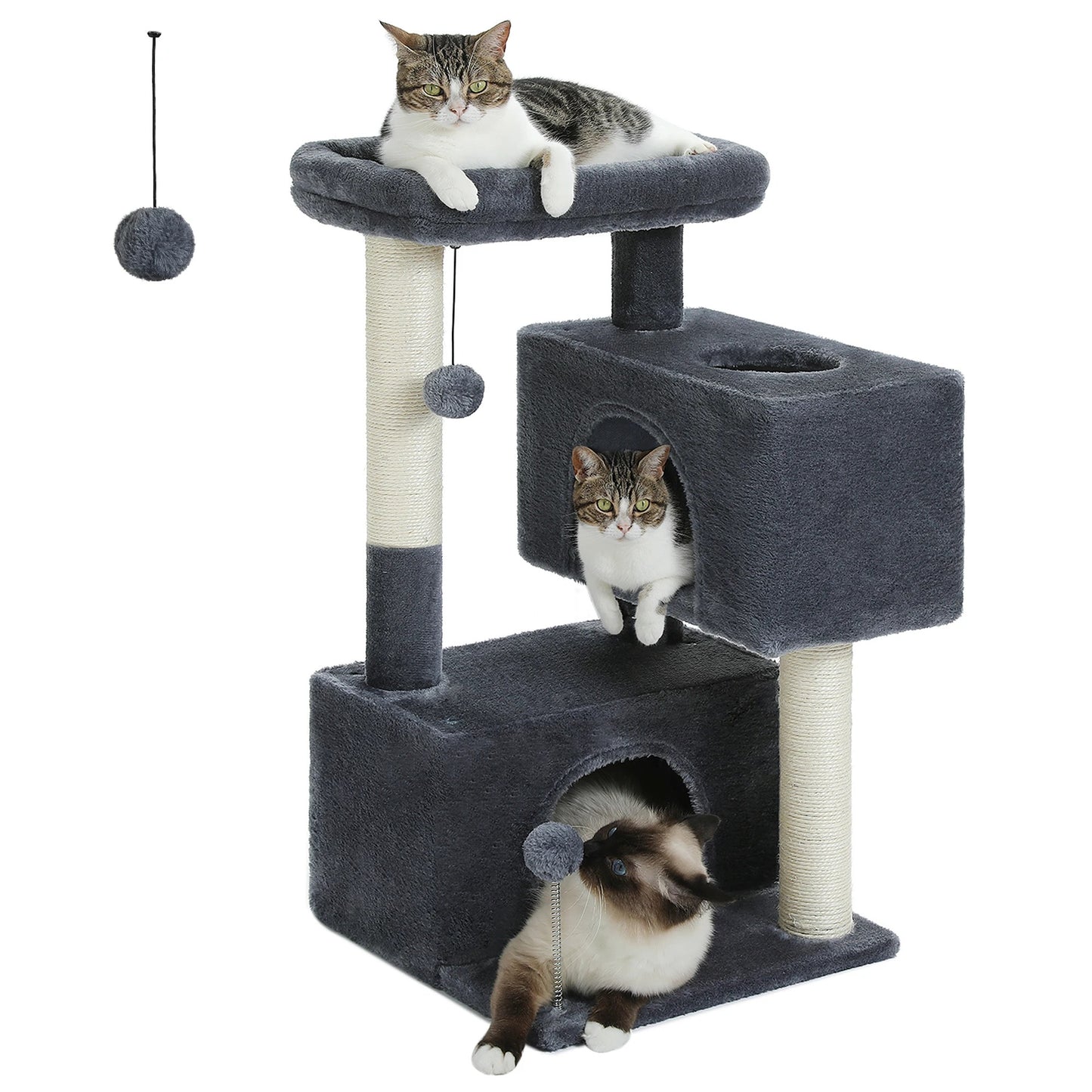 Arbre à chat maine coon avec condo gris pour toute la famille