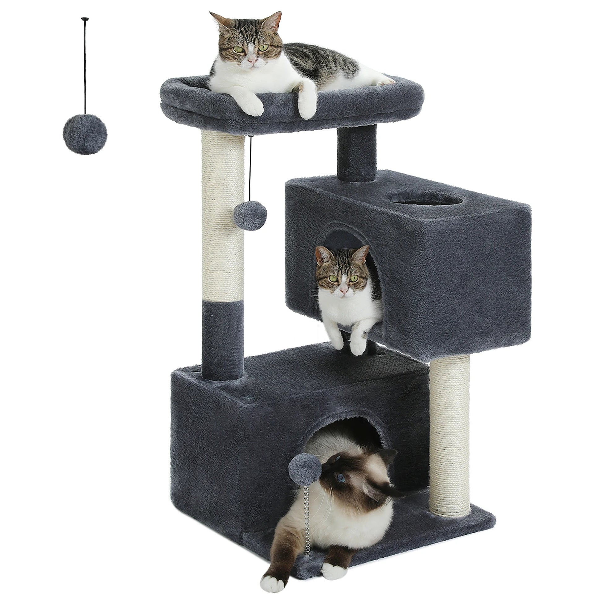 Arbre à chat maine coon avec condo gris pour toute la famille