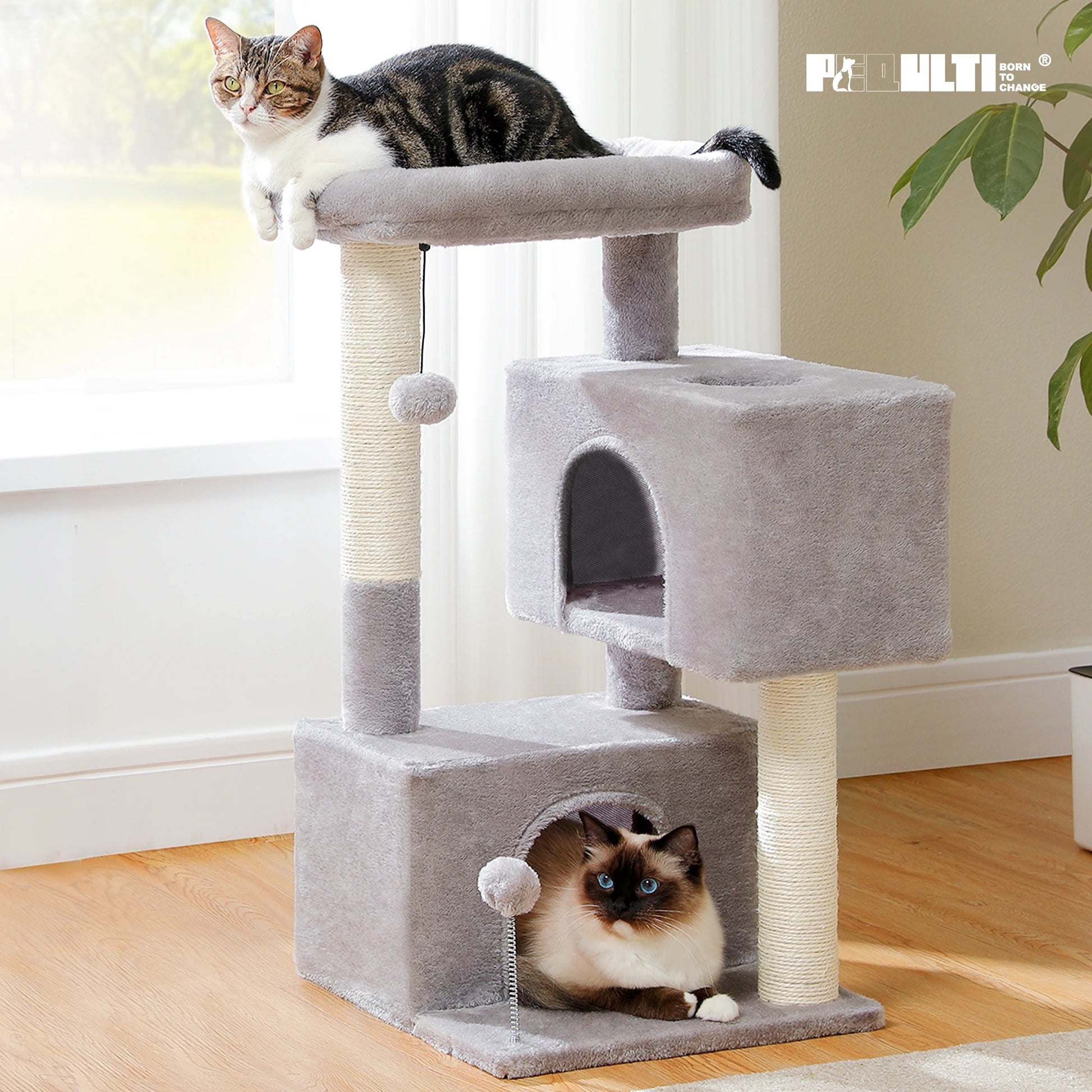 Arbre à chat maine coon  avec deux condos argent