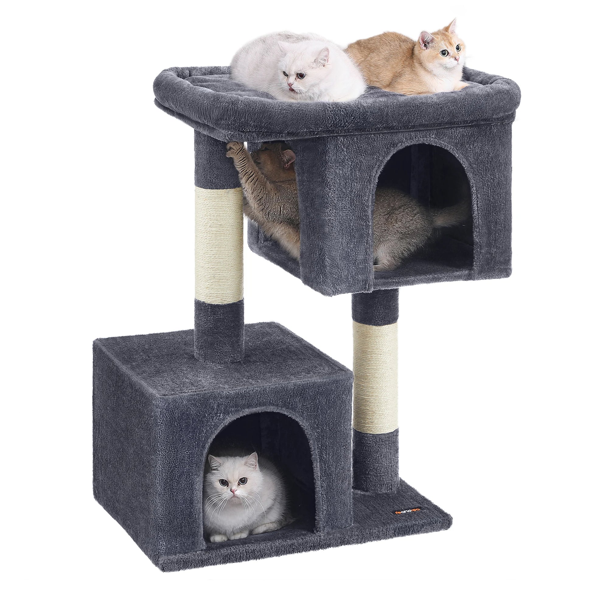 Arbre à chat maine coon condo large perchoir gris et sisal