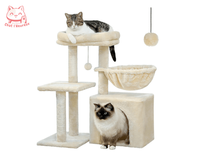 Arbre à chat maine coon beige avec jeux panier et balle suspendu