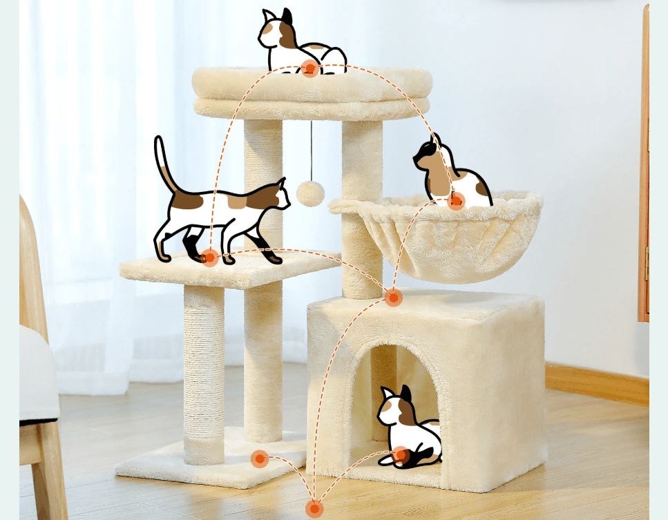 Arbre à chat maine coon beige avec les possibilités  