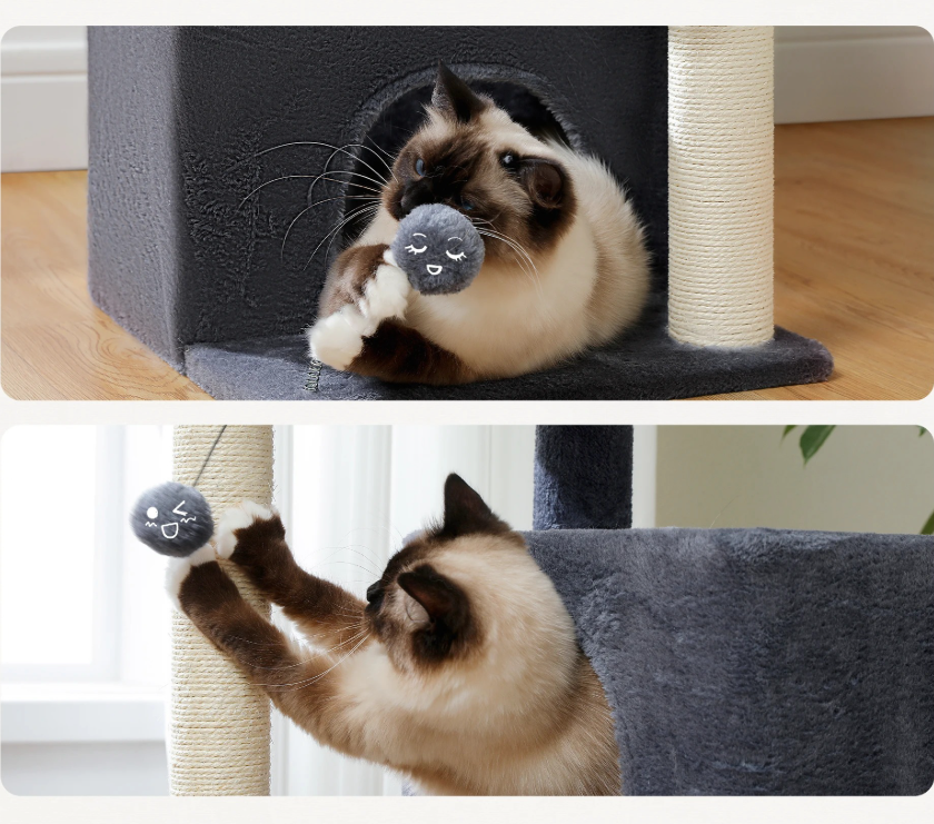 Arbre à chat maine coon avec condo gris et jeux de balle et sisal