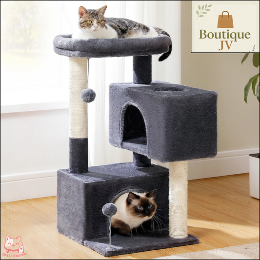Arbre à chat maine coon avec condo gris