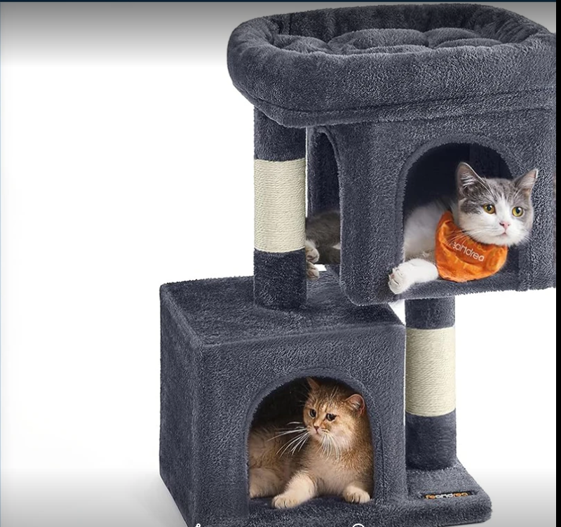 Arbre à chat maine coon condo large perchoir gris relaxant