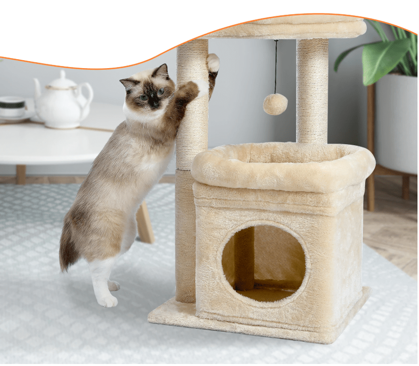 Arbre à chat maine coon condo perchoir beige et poteau de sisal