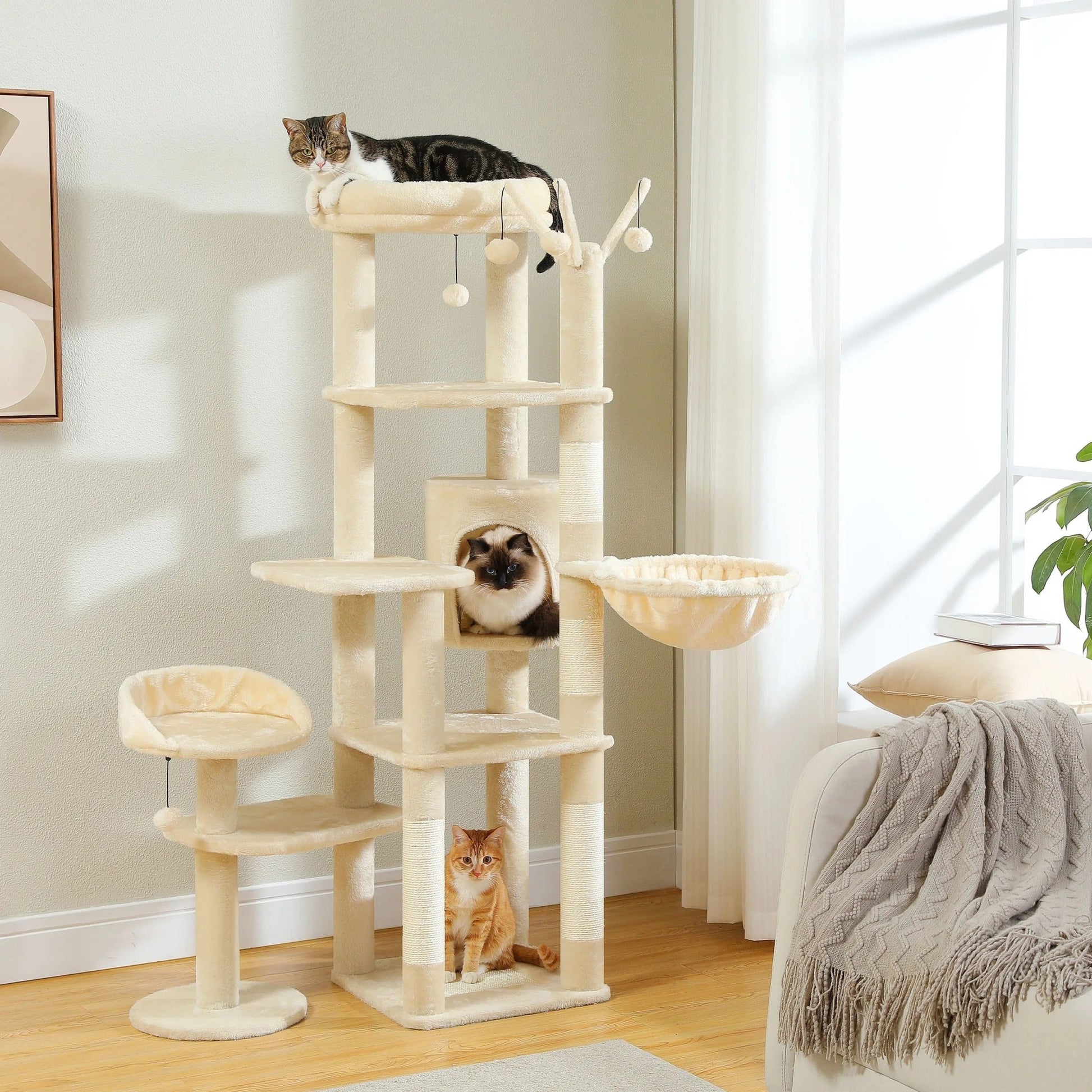 Arbre à chat maine coon plusieurs niveaux beige pour relaxation