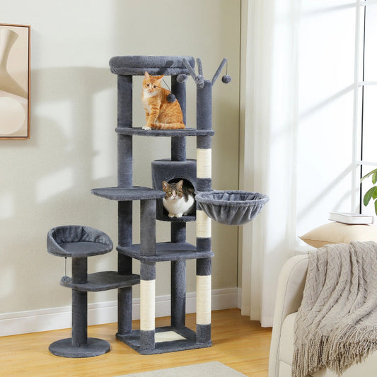 Arbre à maine coon avec plusieurs niveaux gris