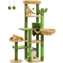 Arbre à main coon plusieurs niveaux vert majestueux