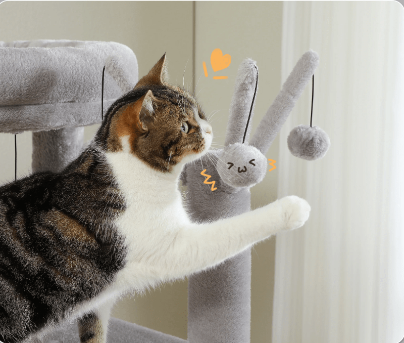Arbre à chat maine coon plusieurs niveaux argent avec balles suspendus