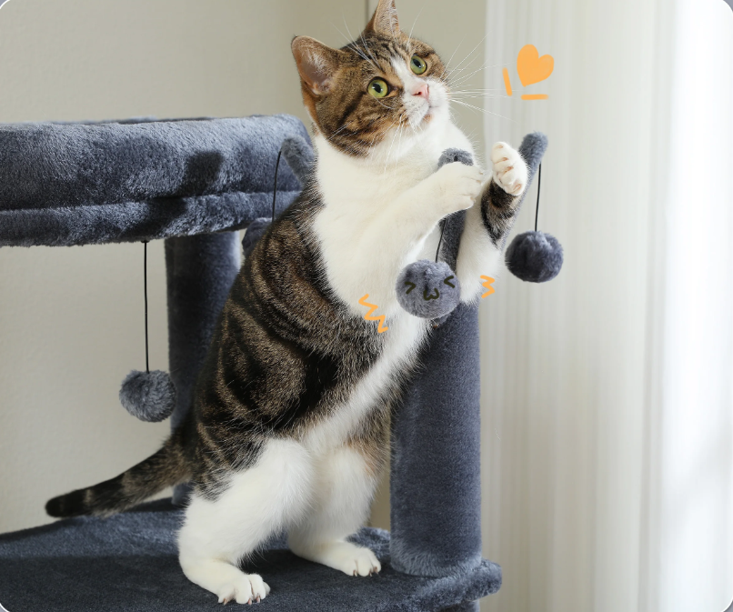 Arbre à maine coon avec plusieurs niveaux avec jouets