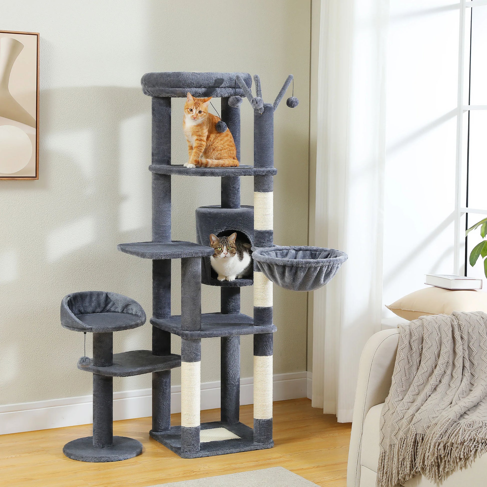 Arbre à maine coon gris à plusieurs niveaux avec plateforme